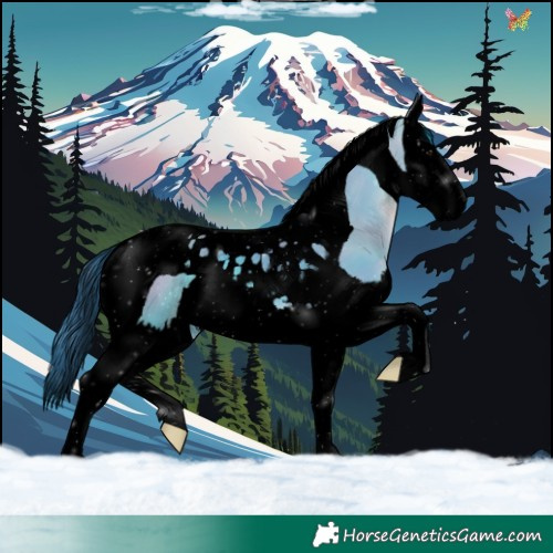 Horse Color:Void Watercolor Brown Dun Splash Tobiano