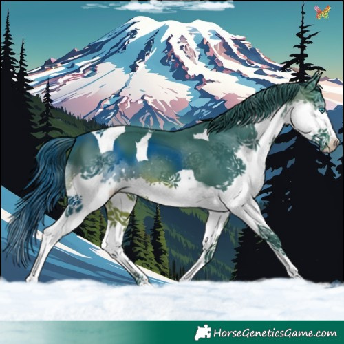 Horse Color:Watercolor Brown Splash Tobiano 