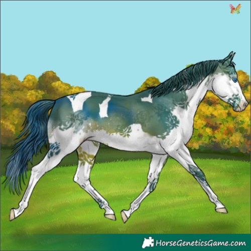 Horse Color:Watercolor Brown Splash Tobiano 