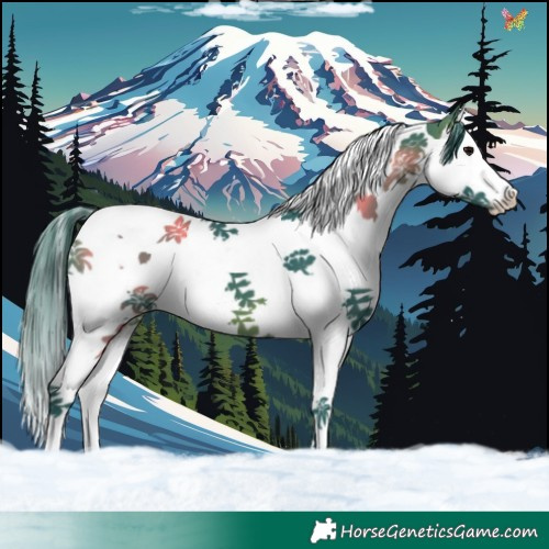 Horse Color:Watercolor Brown Splash Tobiano 