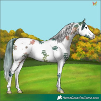 Horse Color:Watercolor Brown Splash Tobiano 