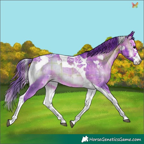 Horse Color:Watercolor Plaid Brown Onyx Splash Tobiano