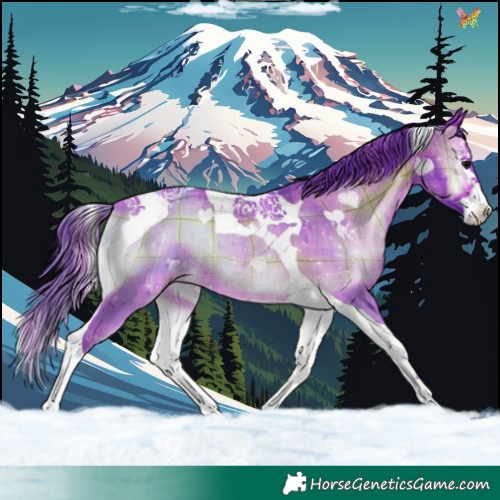 Horse Color:Watercolor Plaid  Brown Onyx Splash Tobiano 