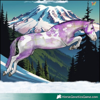 Horse Color:Watercolor Plaid Brown Onyx Splash Tobiano