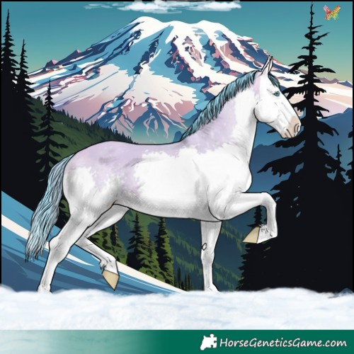 Horse Color:Watercolor Sable Champagne Dun Splash 