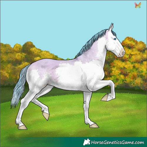 Horse Color:Watercolor Sable Champagne Dun Splash