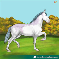 Horse Color:Watercolor Sable Champagne Dun Splash