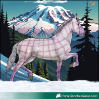 Horse Color:Watercolor Plaid Silver Brown Dun