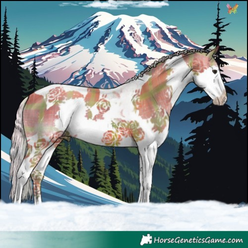 Horse Color:Watercolor Plaid  Silver Bay Splash Tobiano 