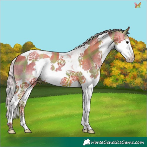 Horse Color:Watercolor Plaid  Silver Bay Splash Tobiano 