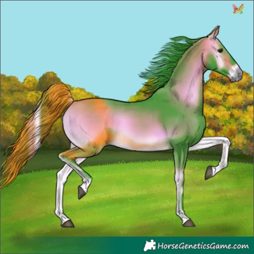 Horse Color:Watercolor Buckskin Onyx Tobiano 