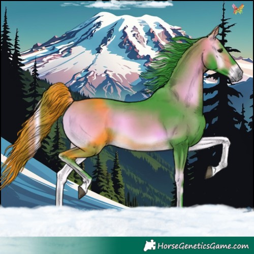 Horse Color:Watercolor Buckskin Onyx Tobiano 