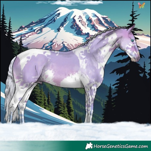 Horse Color:Watercolor Silver Bay Dun Splash Tobiano 