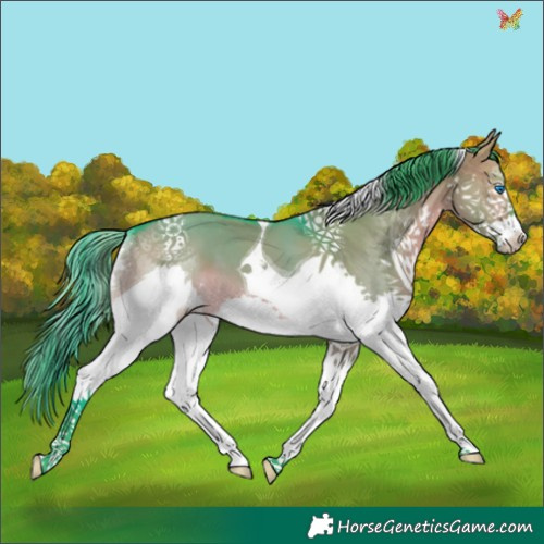 Horse Color:Watercolor Brown Dun Splash Tobiano