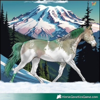 Horse Color:Watercolor Brown Dun Splash Tobiano 