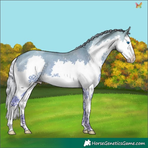 Horse Color:Watercolor Silver Sable Champagne Dun Splash 