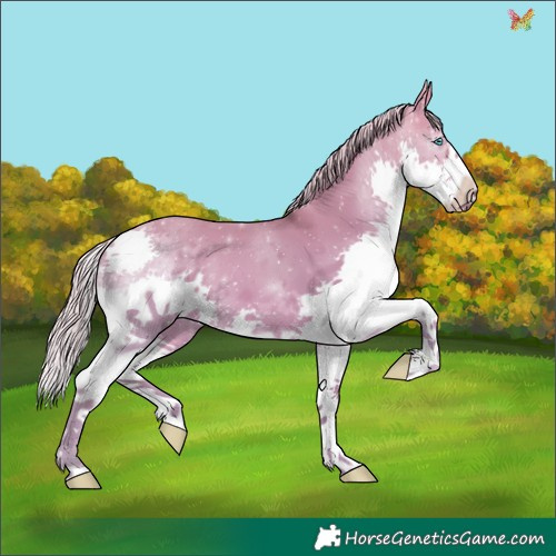 Horse Color:Watercolor Silver Brown Dun Splash