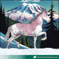 Horse Color:Watercolor Silver Brown Dun Splash