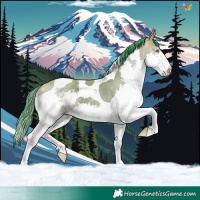 Horse Color:Watercolor Sable Champagne Dun Splash Tobiano