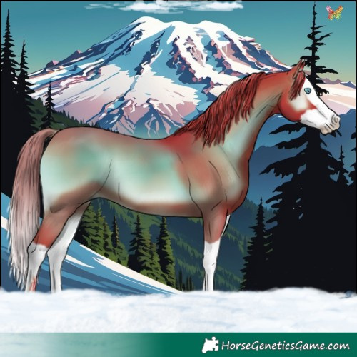 Horse Color:Watercolor Liver Red Onyx Splash 