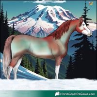 Horse Color:Watercolor Liver Red Onyx Splash 