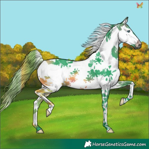 Horse Color:Watercolor Brown Splash Tobiano 