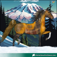 Horse Color:Plaid Brown Tobiano