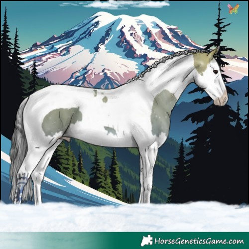Horse Color:Brown Dun Splash Tobiano 