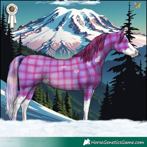 Horse Color:Watercolor Plaid  Chestnut Splash 