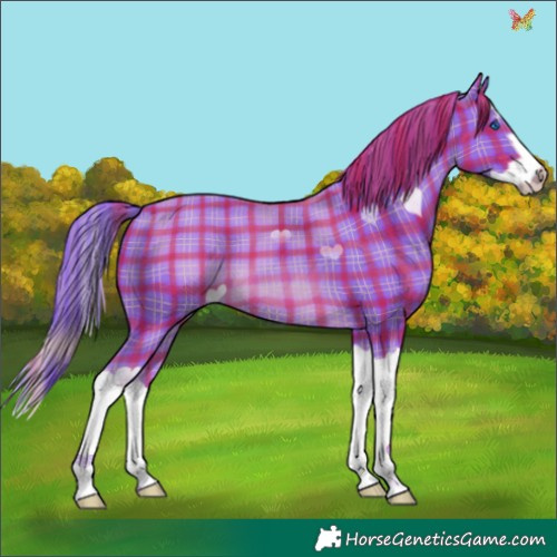 Horse Color:Watercolor Plaid  Chestnut Splash 