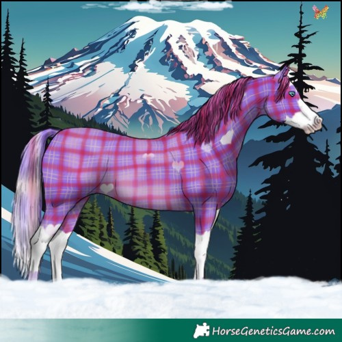 Horse Color:Watercolor Plaid  Chestnut Splash 