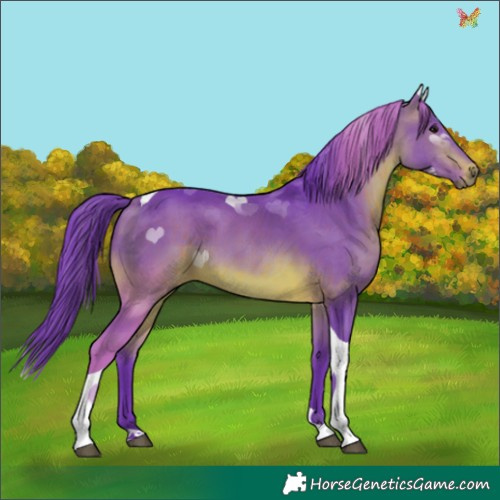 Horse Color:Watercolor Brown Tobiano 