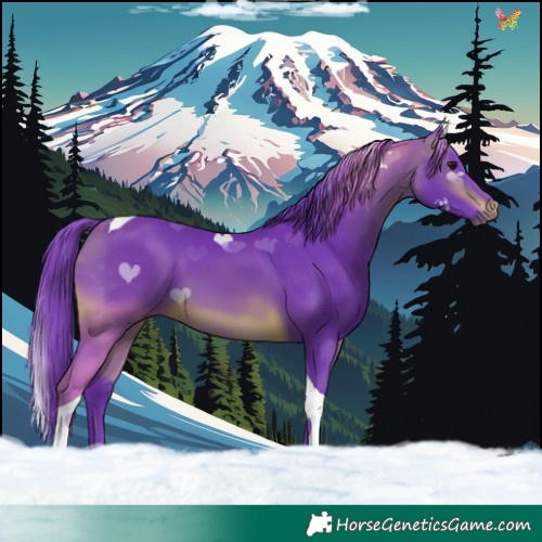 Horse Color:Watercolor Brown Tobiano 