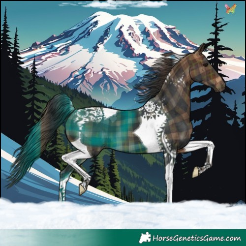 Horse Color:Plaid  Brown Tobiano 