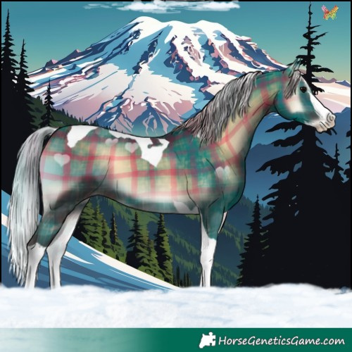 Horse Color:Plaid  Silver Brown Onyx Splash Tobiano 