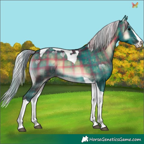 Horse Color:Plaid  Silver Brown Onyx Splash Tobiano 