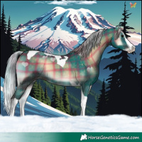 Horse Color:Plaid  Silver Brown Onyx Splash Tobiano 