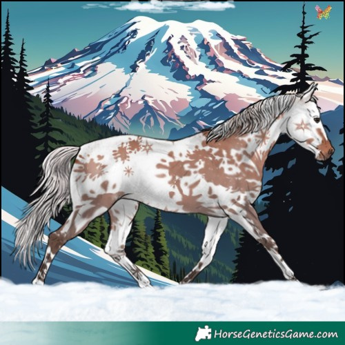 Horse Color:White Spotted Silver Bay Dun Splash 
