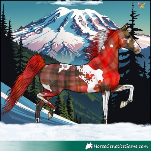 Horse Color:Plaid  Bay Tobiano 