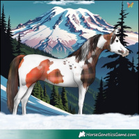 Horse Color:Plaid  Bay Splash Tobiano 