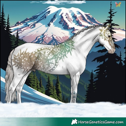 Horse Color:White Spotted Silver Brown Dun Splash 