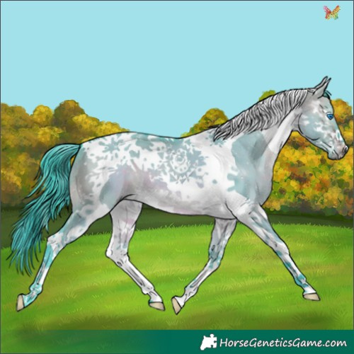 Horse Color:Watercolor Brown Dun Splash Tobiano 