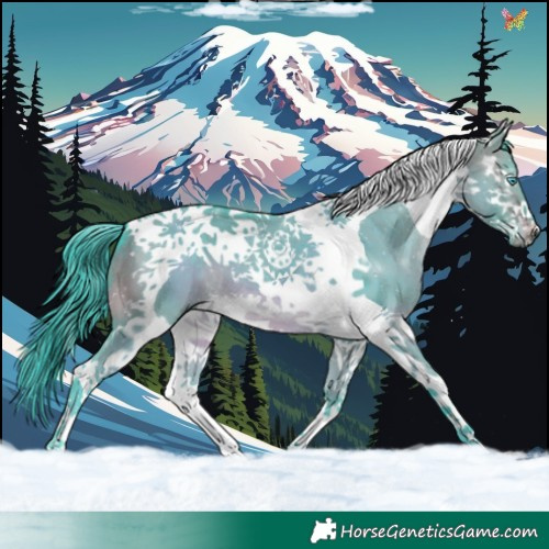 Horse Color:Watercolor Brown Dun Splash Tobiano 