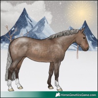 Horse Color:Silver Brown Dun