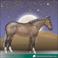 Horse Color:Silver Brown Dun 