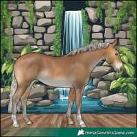 Horse Color:Silver Buckskin 