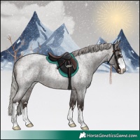 Horse Color:Silver Brown Roan Rabicano 