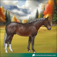 Horse Color:Silver Brown 