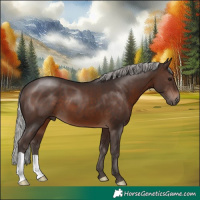 Horse Color:Silver Brown 