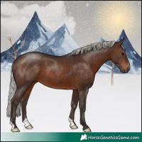 Horse Color:Silver Brown 
